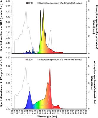 Increase of Yield, Lycopene, and Lutein Content in Tomatoes Grown Under Continuous PAR Spectrum LED Lighting